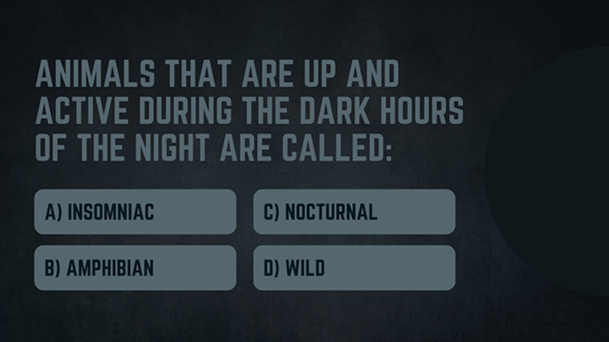 Darkness Trivia image number null